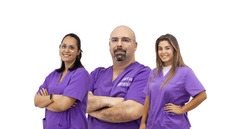 imagen-equipo-fisioterapia-san-felix